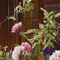 いけばなの特別展