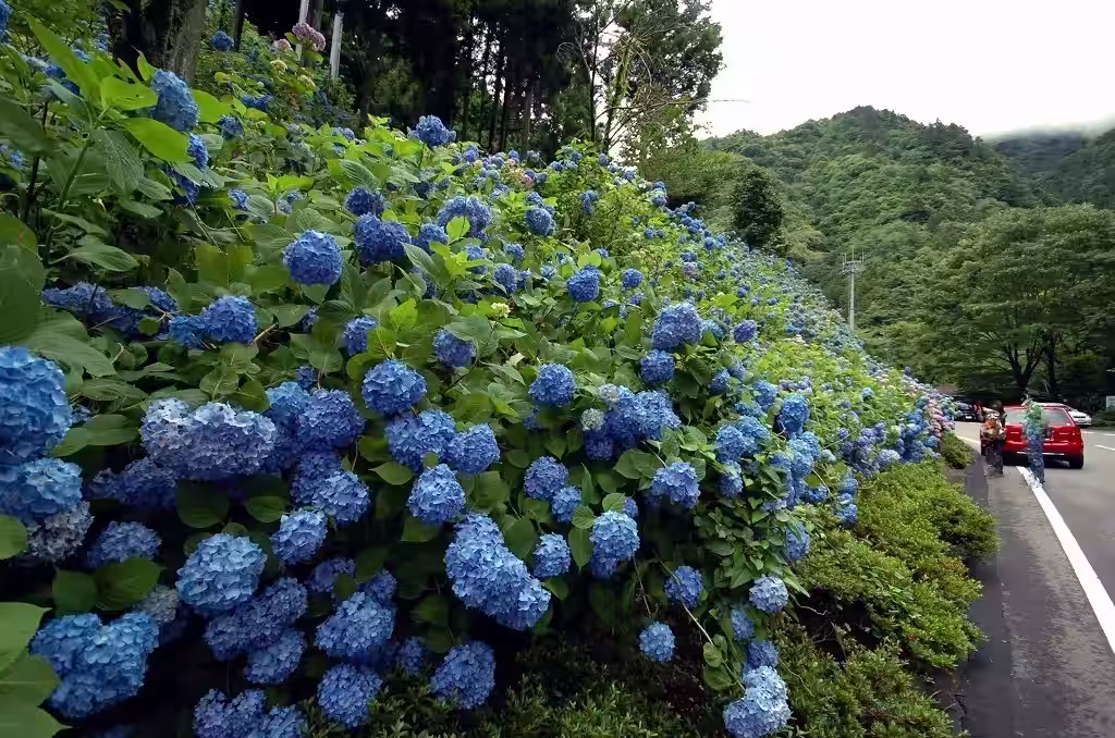 画像10