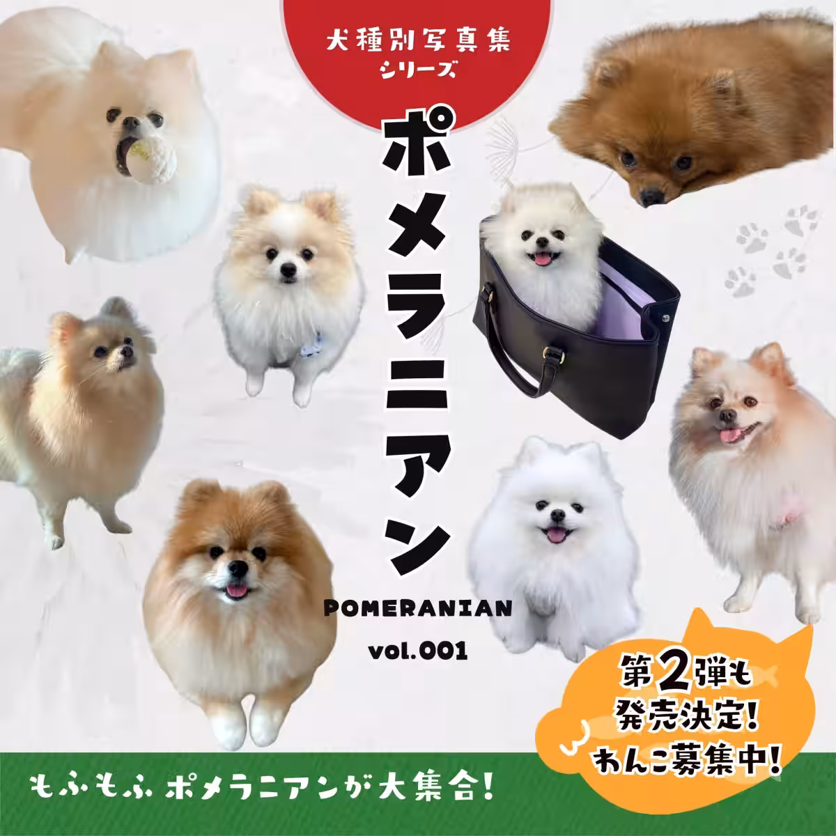 画像8