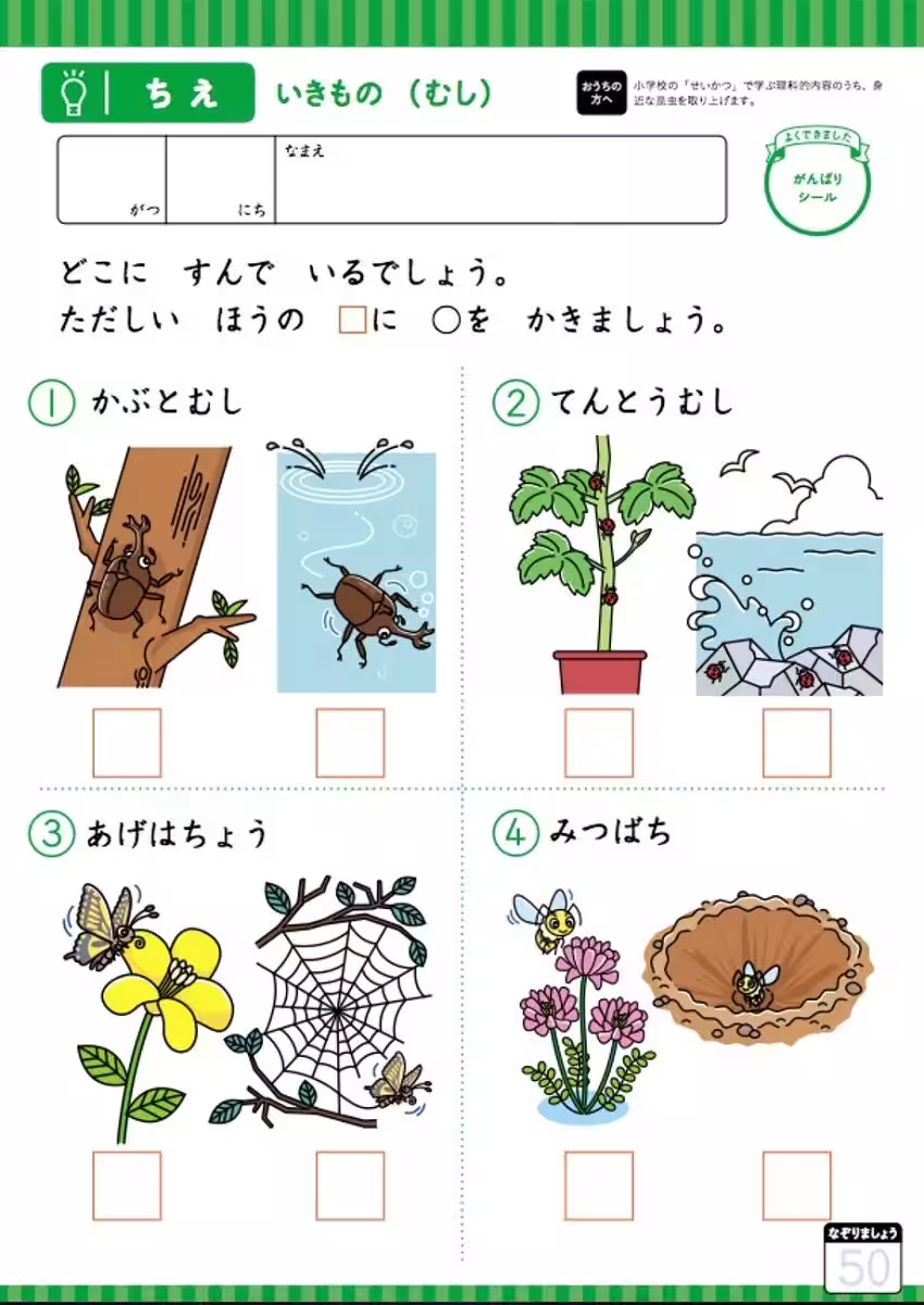 画像6