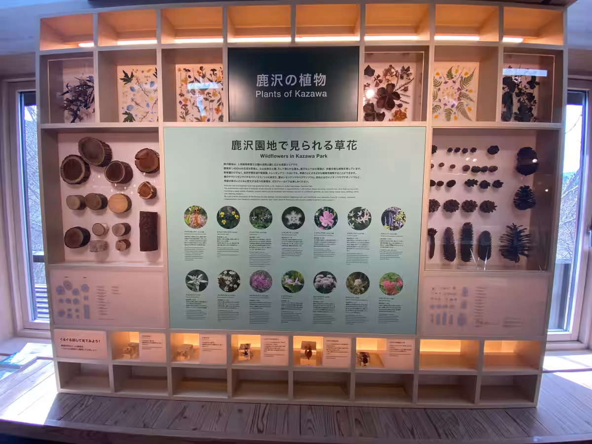 画像11