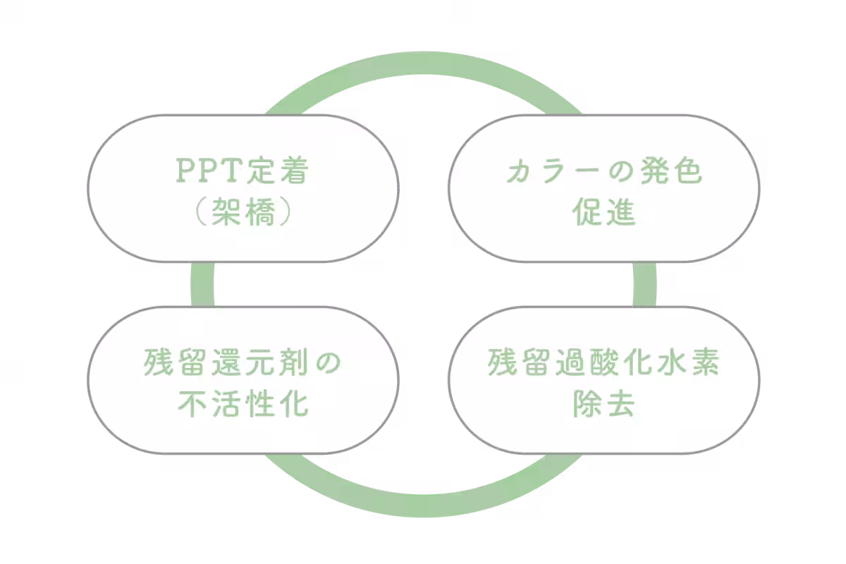 画像15