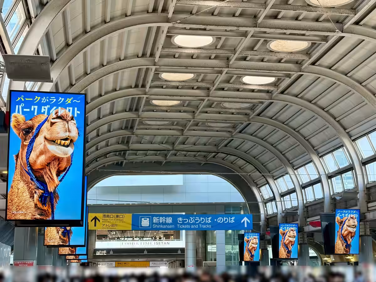 画像7