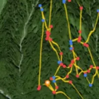 ニホンジカの越冬実態