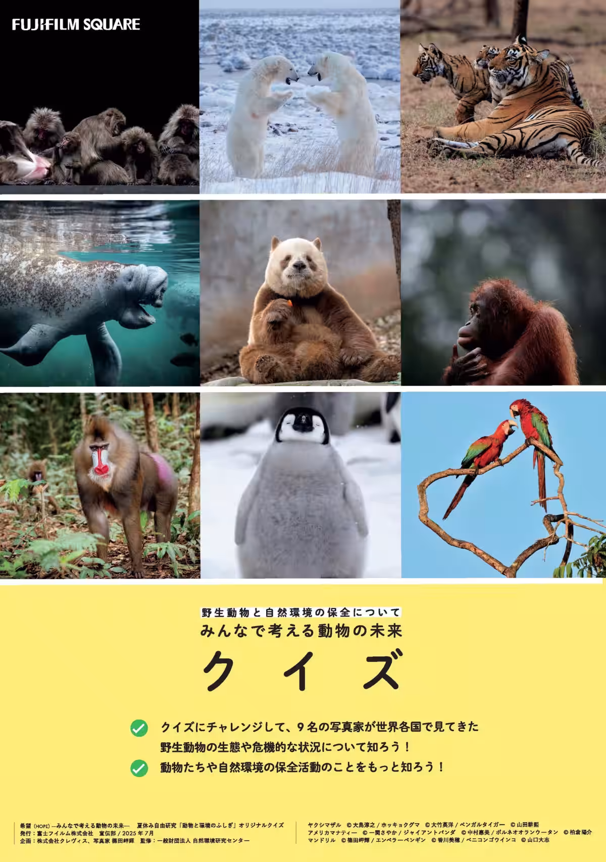 画像17