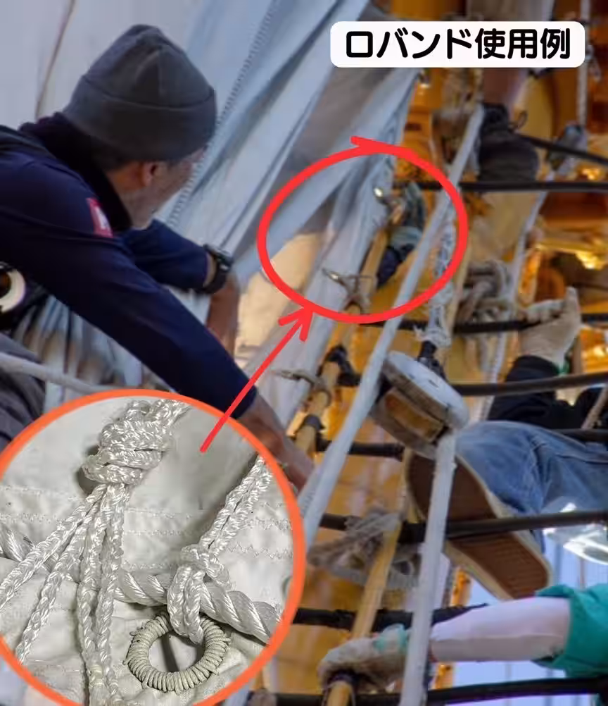画像4