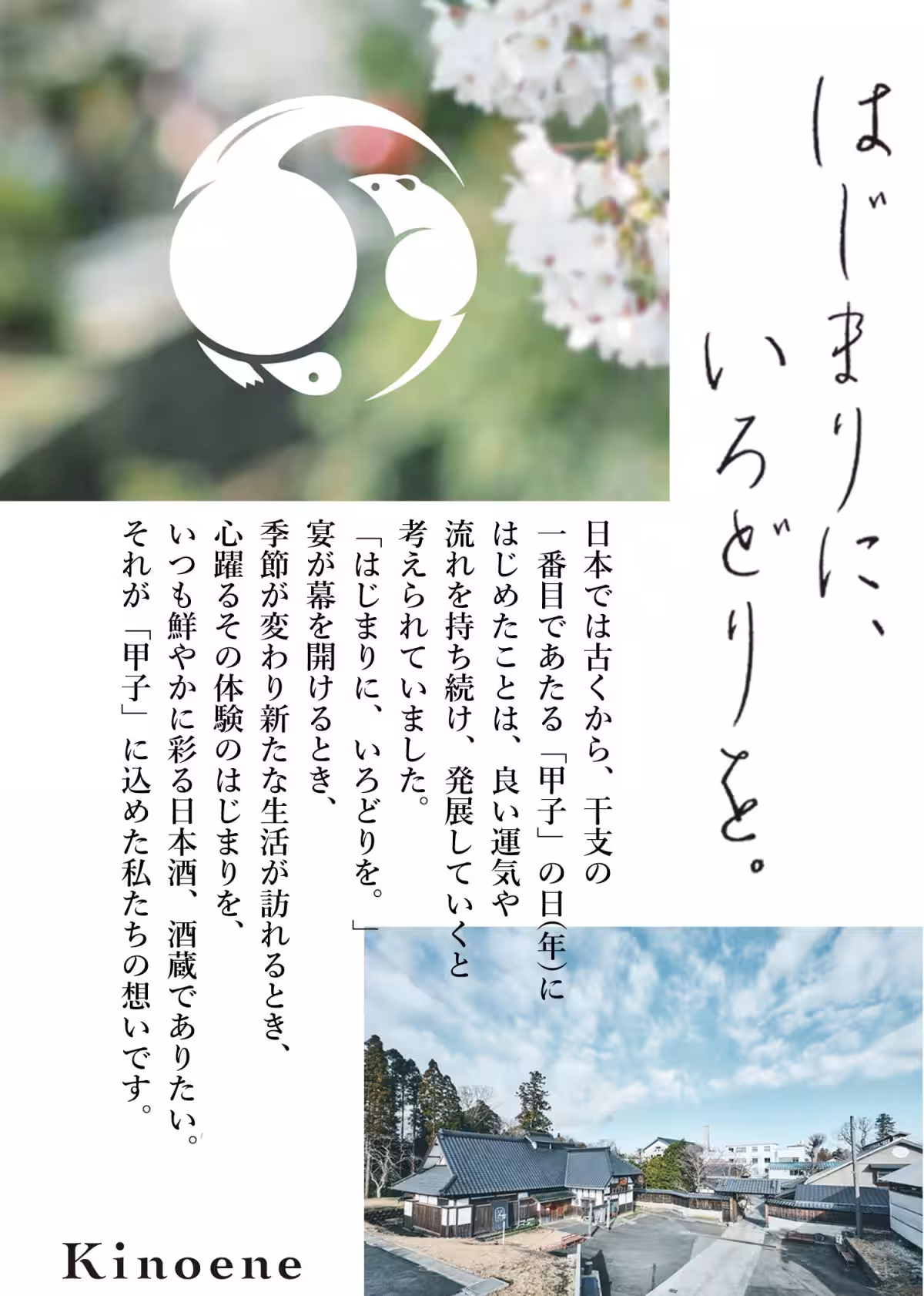 画像11