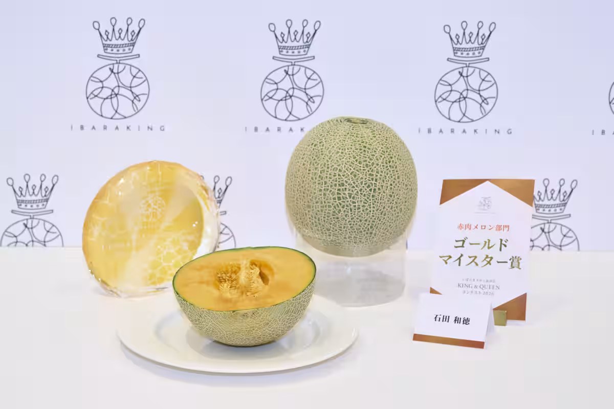 画像6