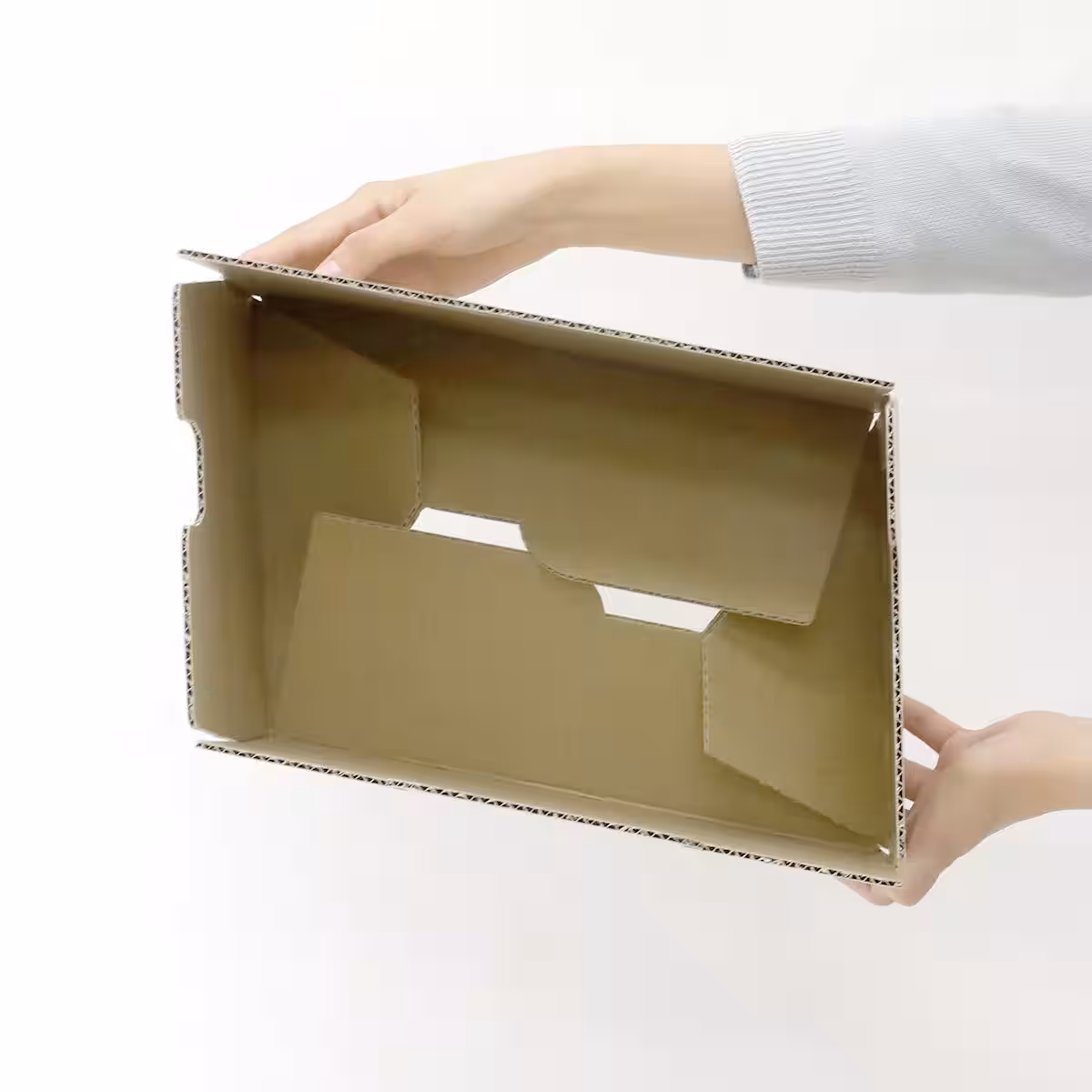 画像5