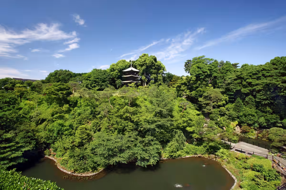 画像15