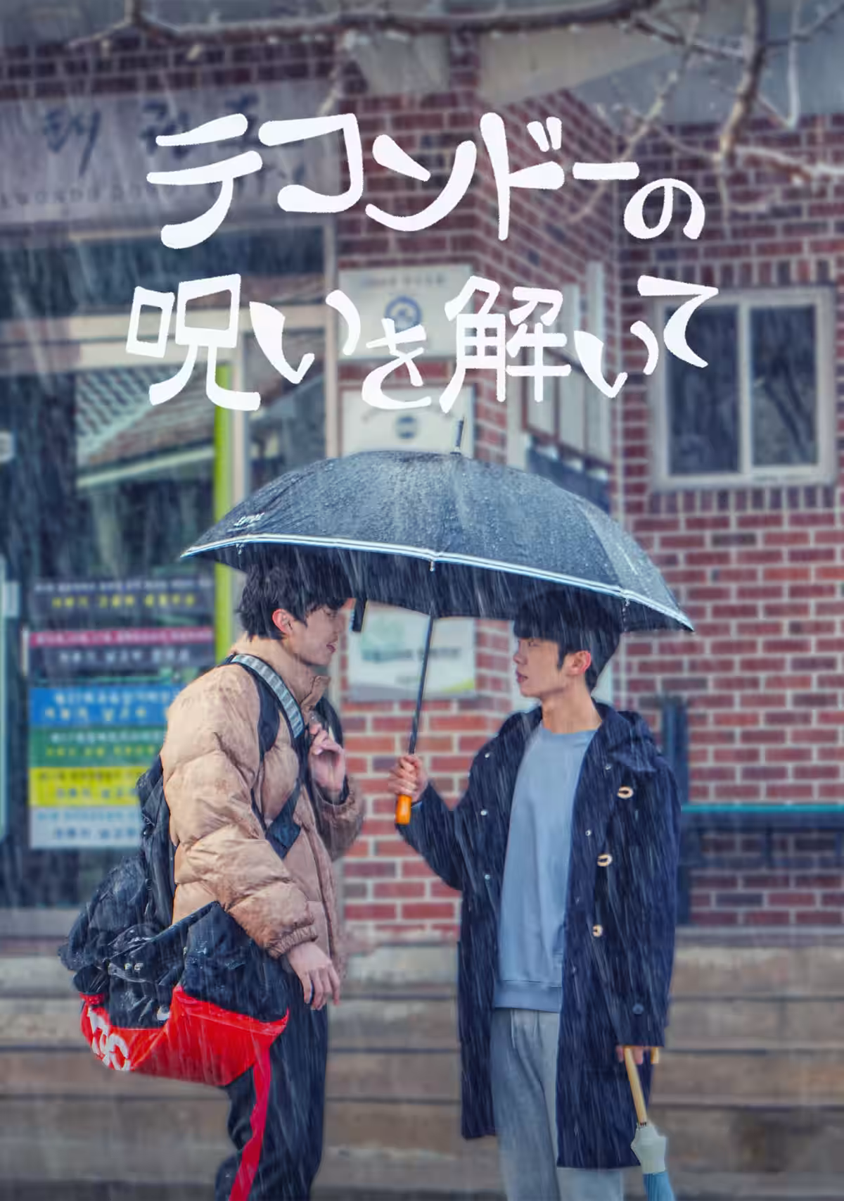 画像15