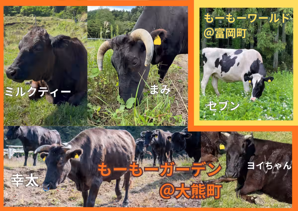 画像13