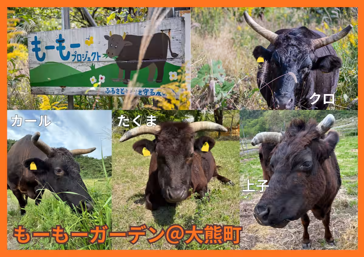画像12