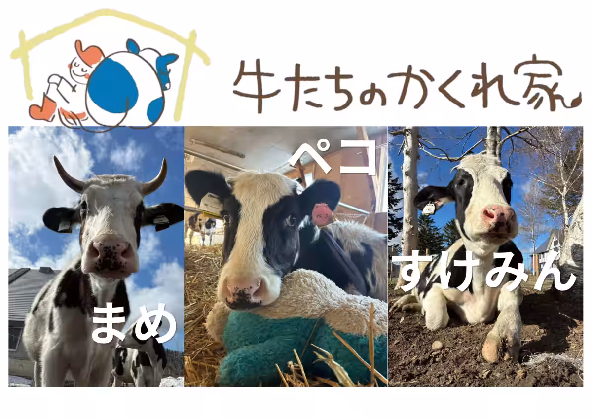 画像15