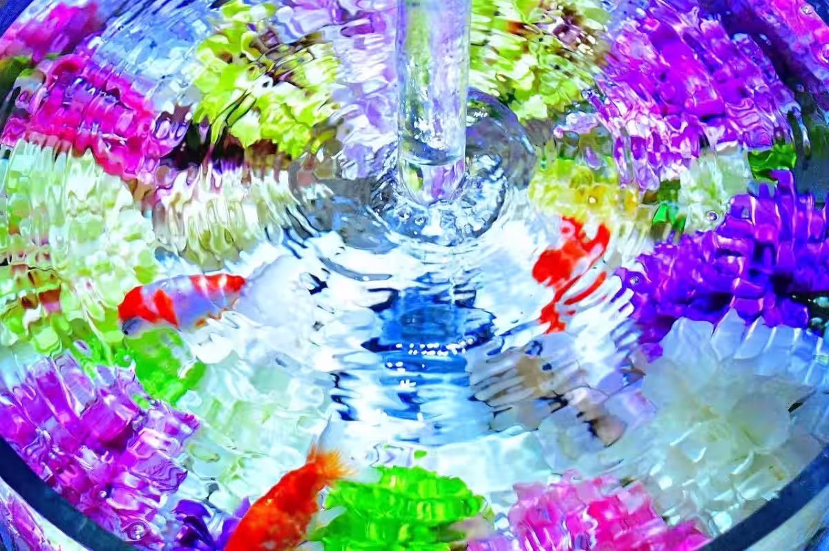 画像11