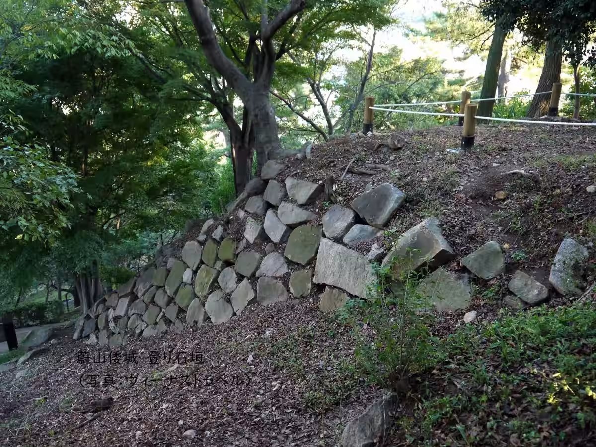 画像6