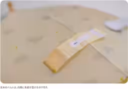 画像6
