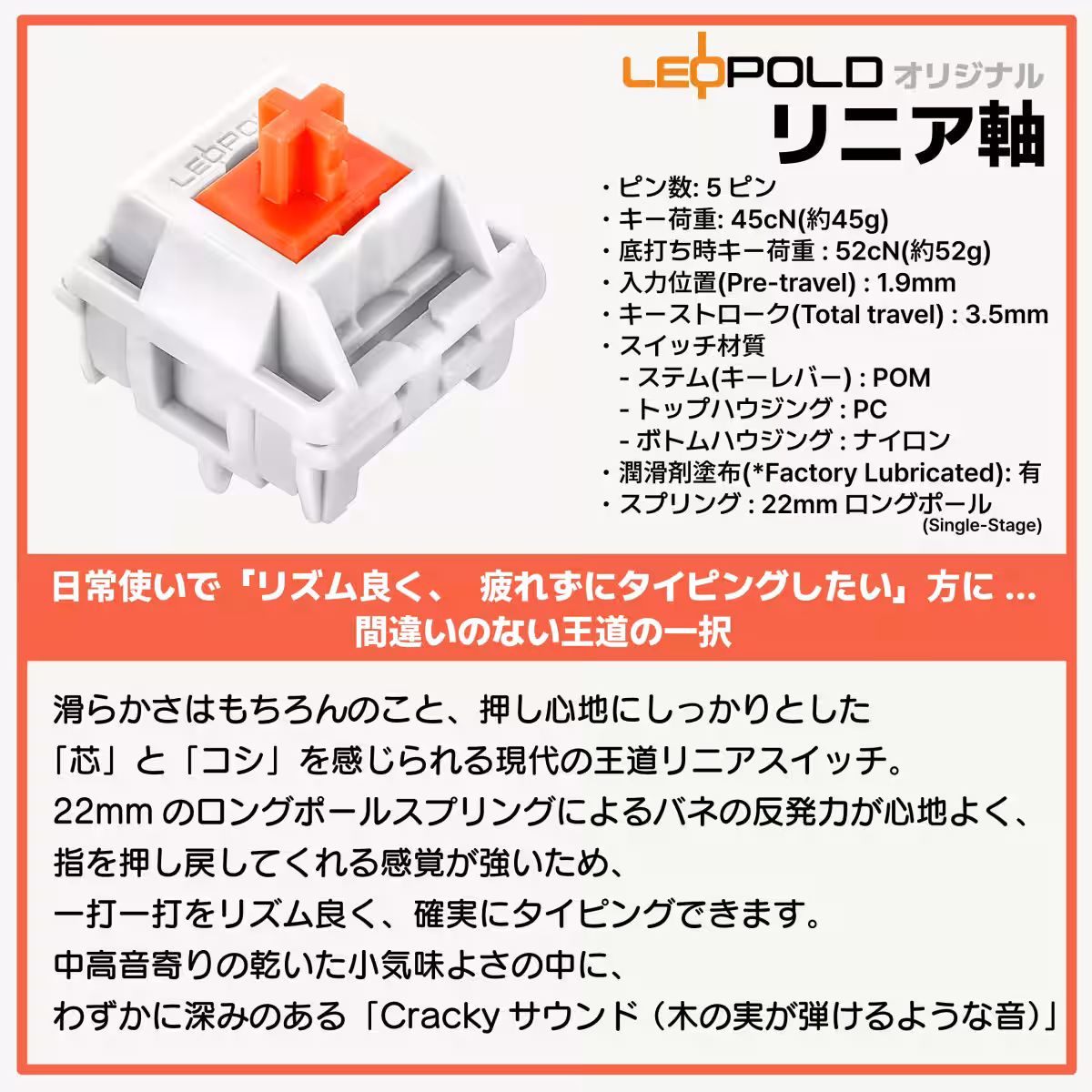 画像12