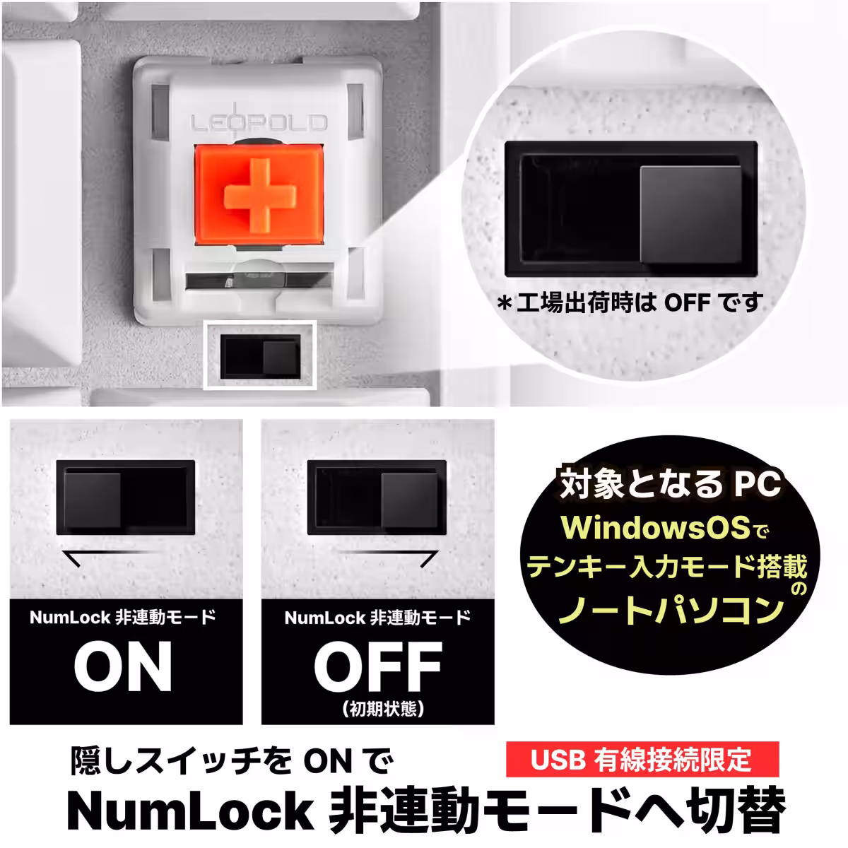 画像7
