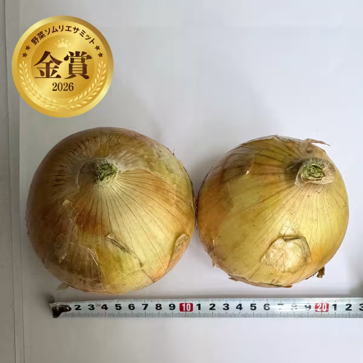 画像9