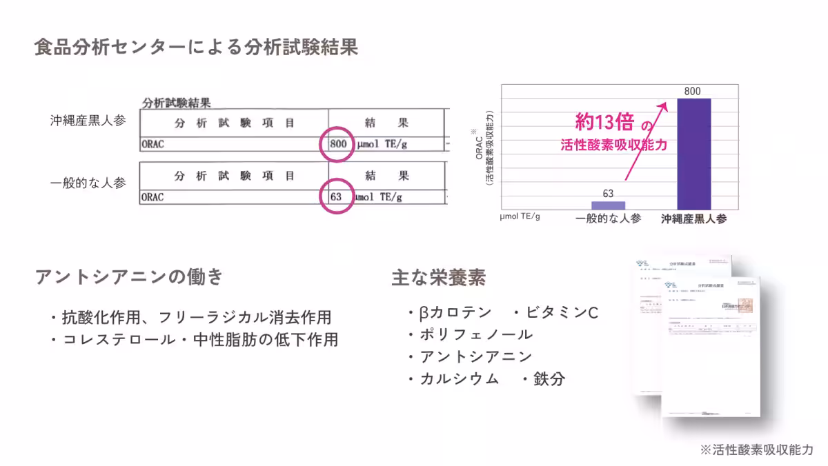 画像14