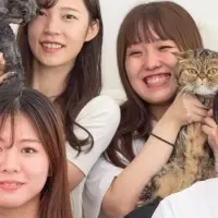 ミシュワンドッグフード