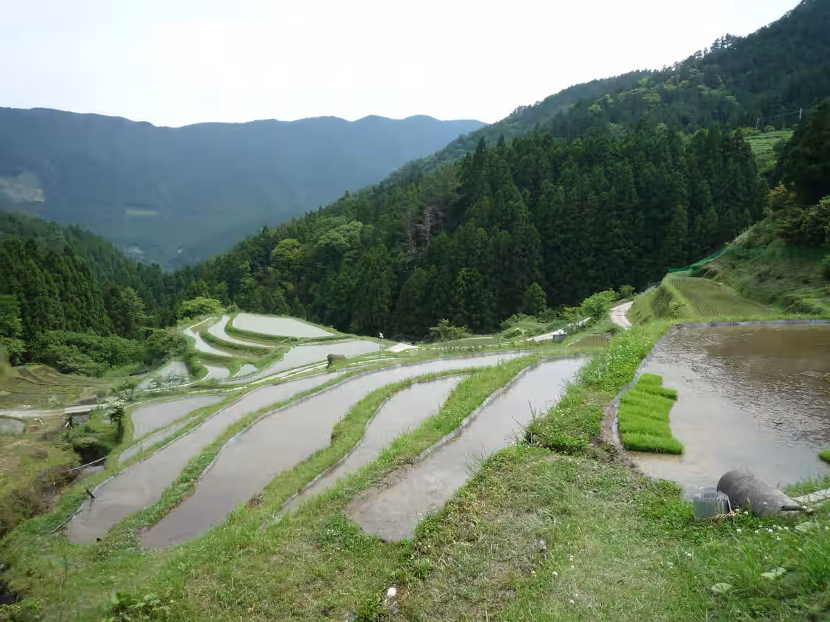 画像11