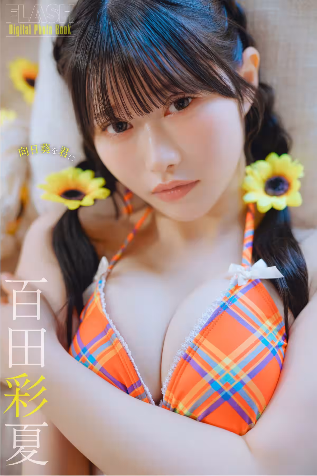 画像7