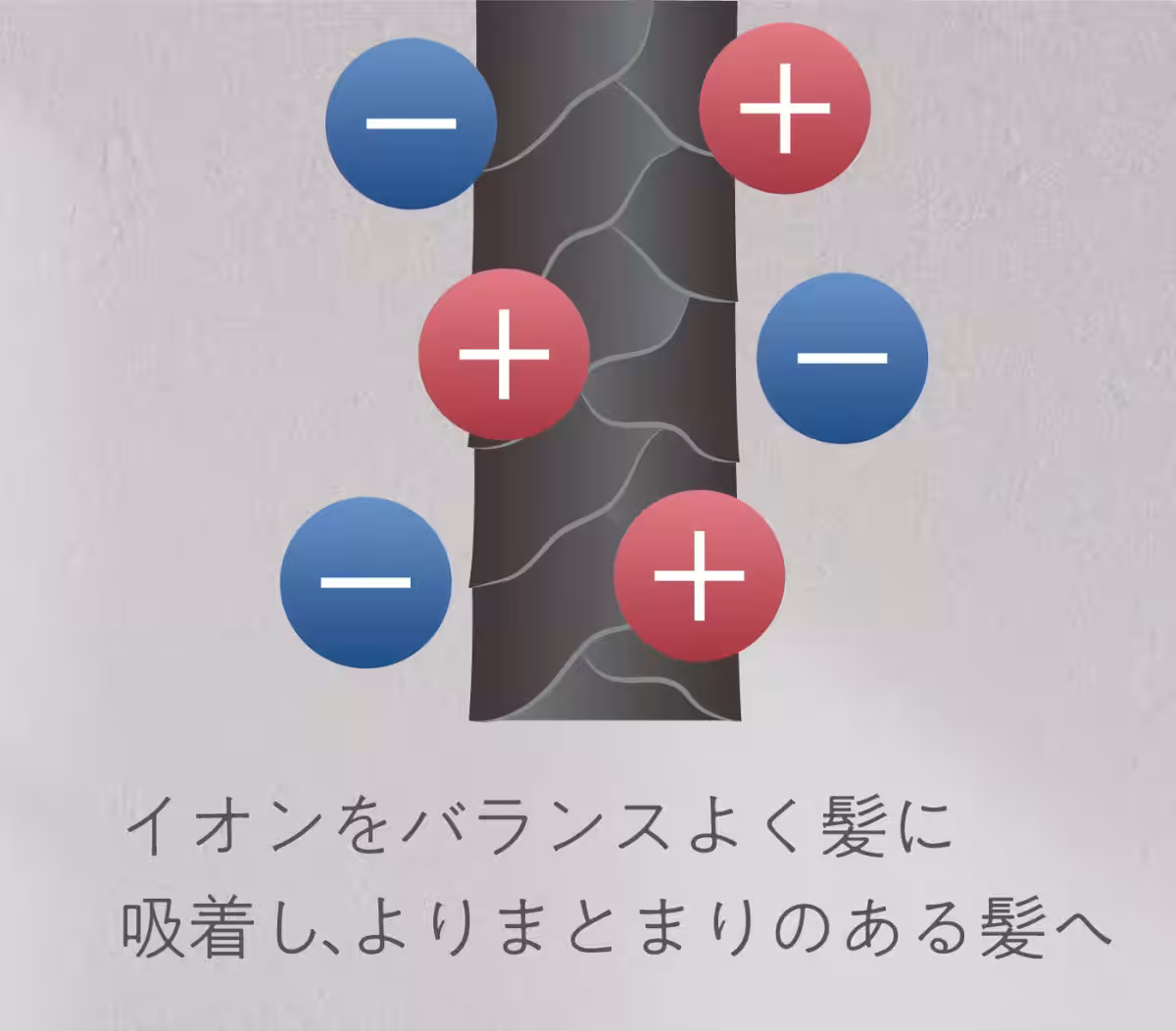 画像13