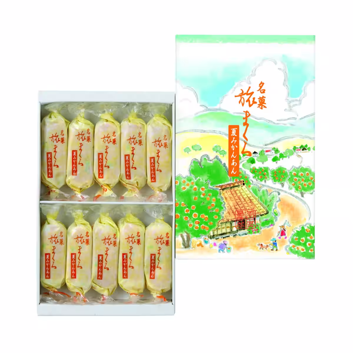 画像8