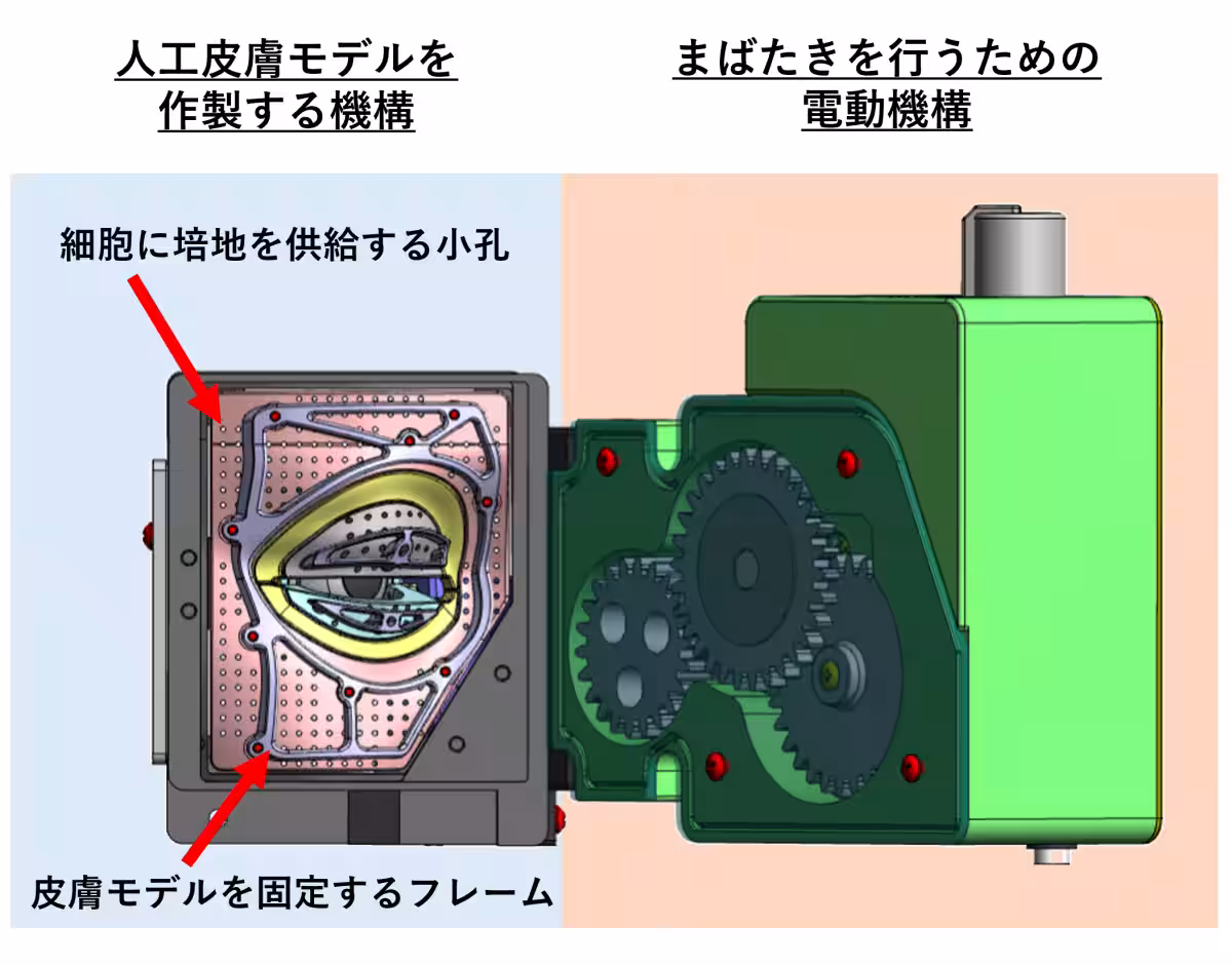 画像5