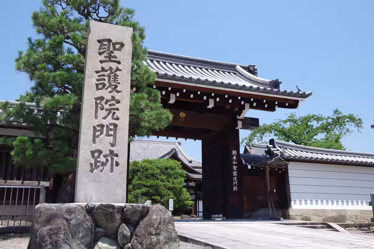 画像8