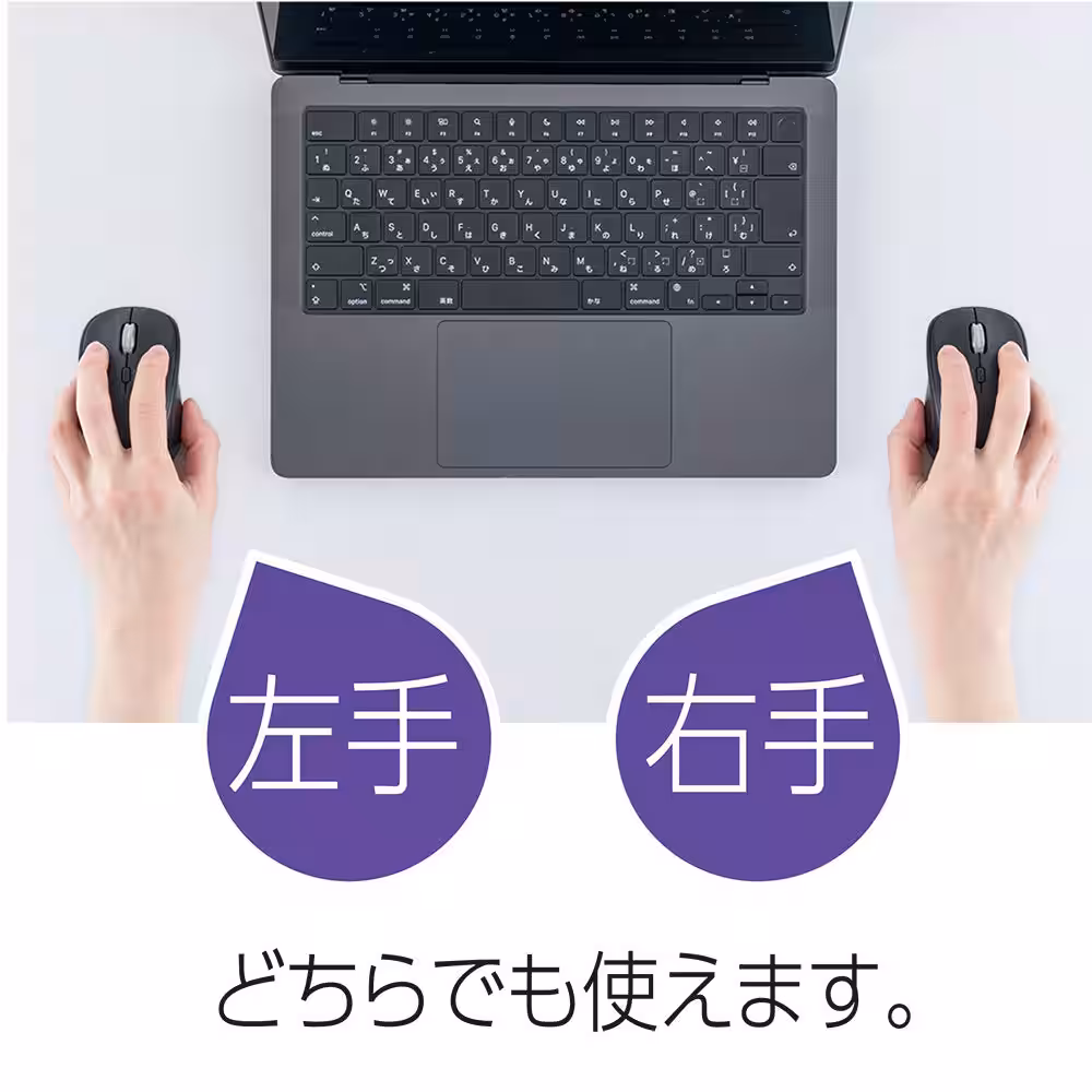 画像4