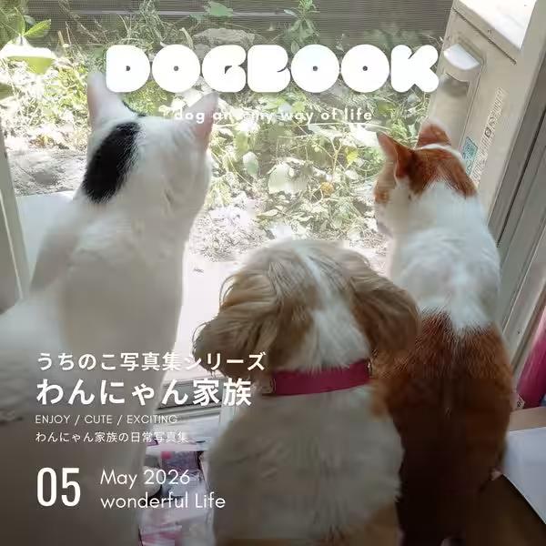画像6