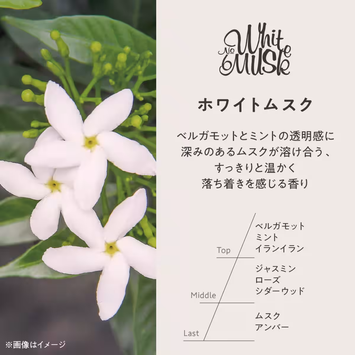 画像11