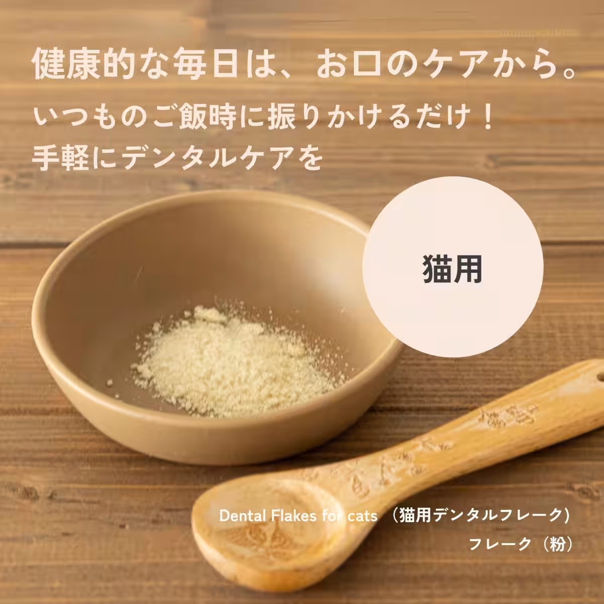 画像16