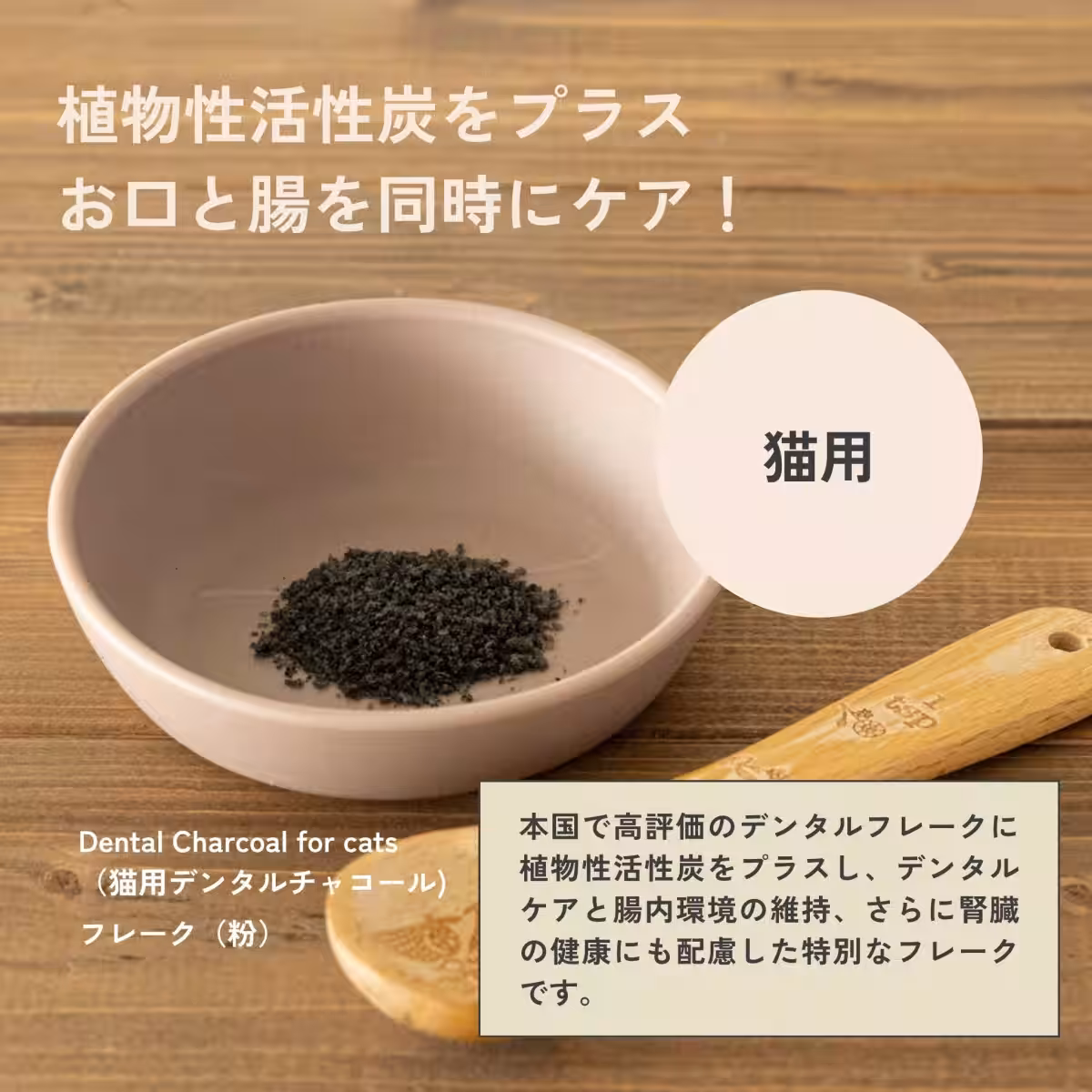 画像14