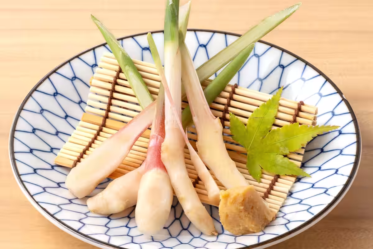画像5