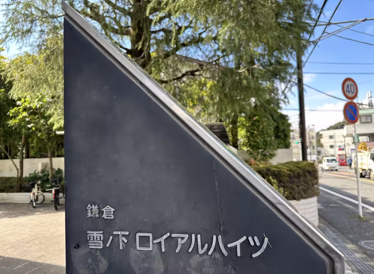 画像7