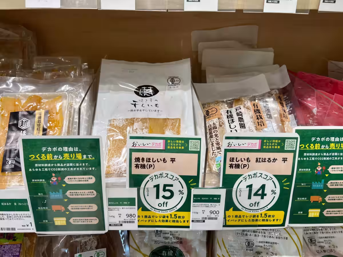 画像7