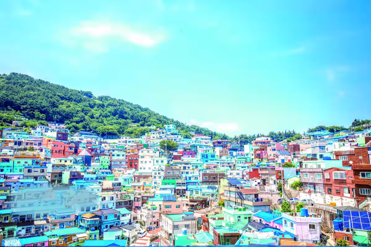 画像10