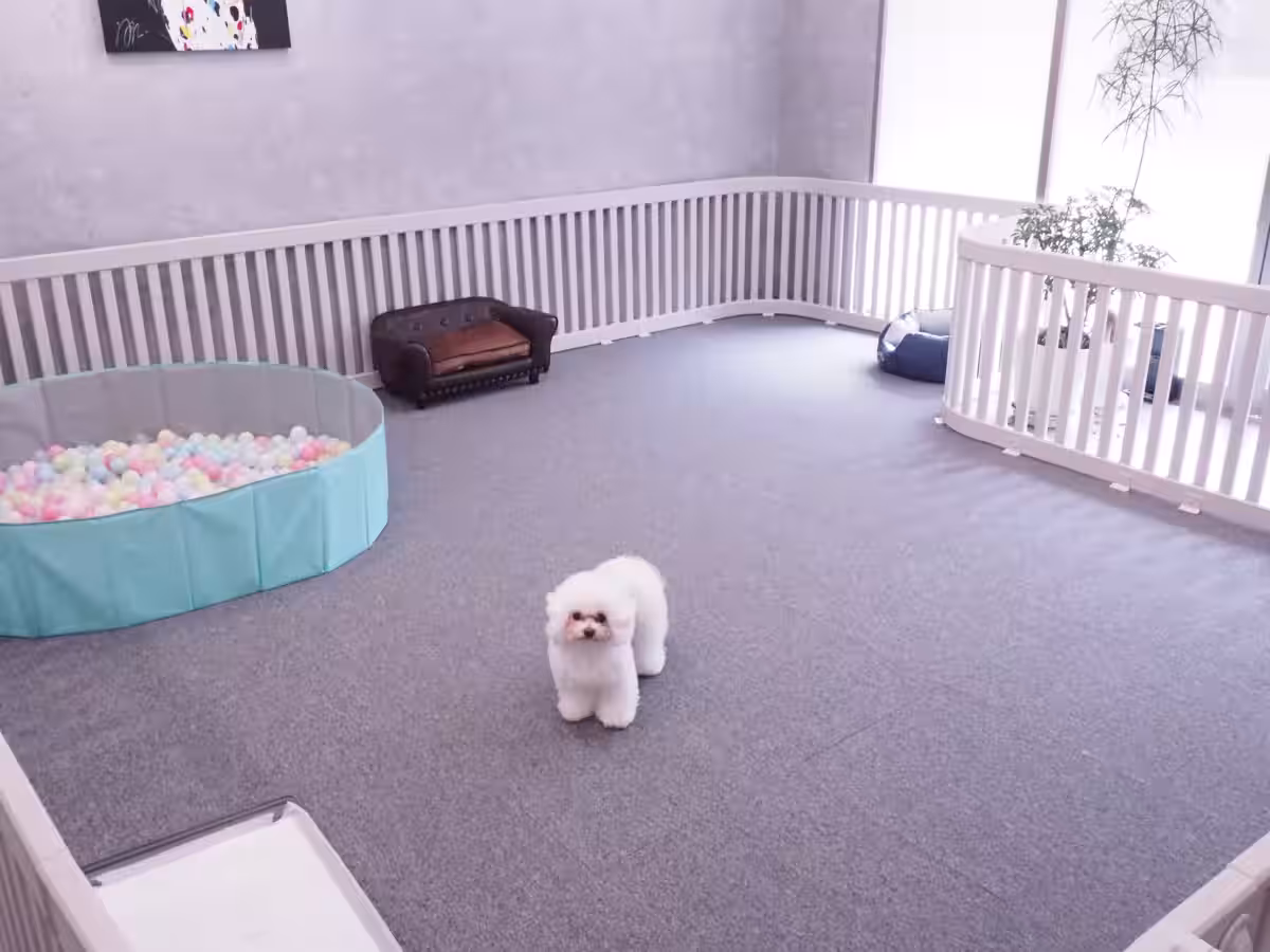 画像11