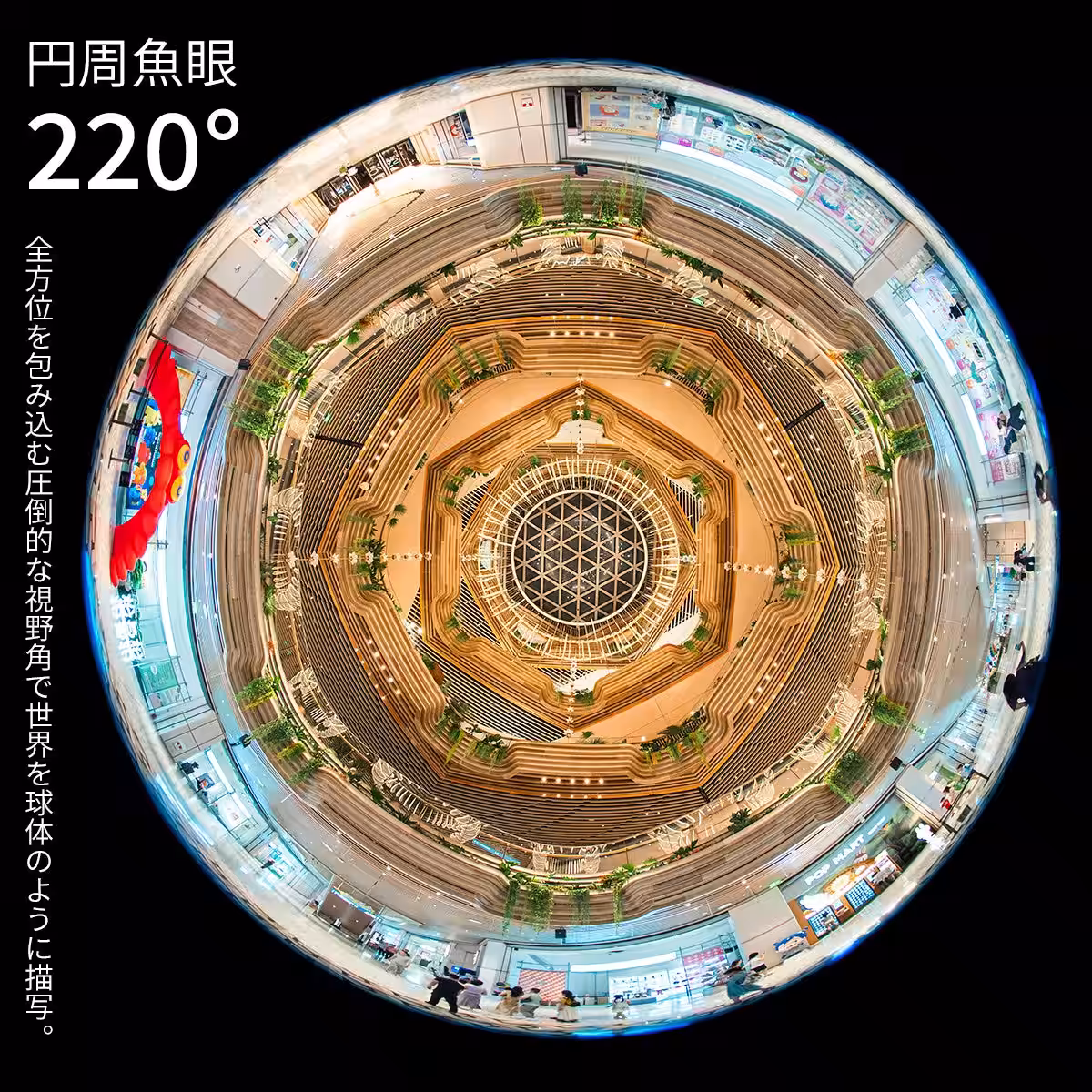画像8