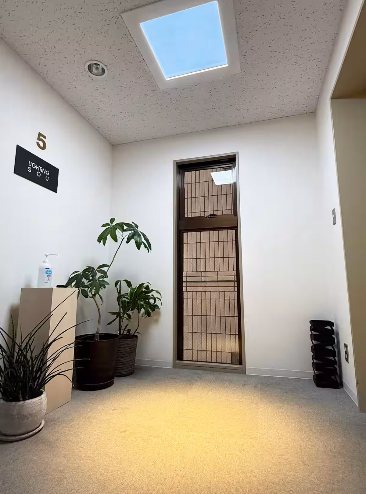画像4