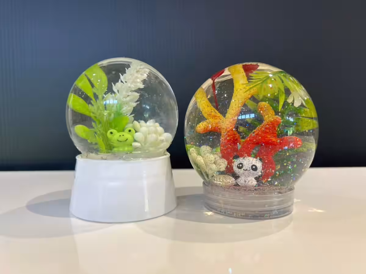 画像6