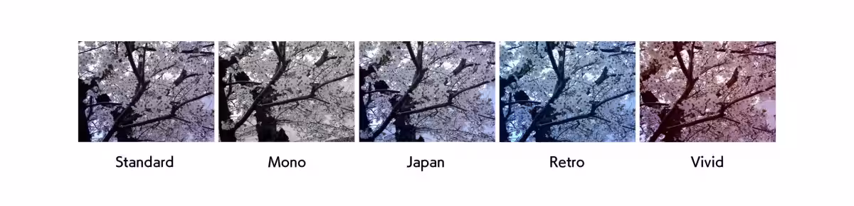 画像4