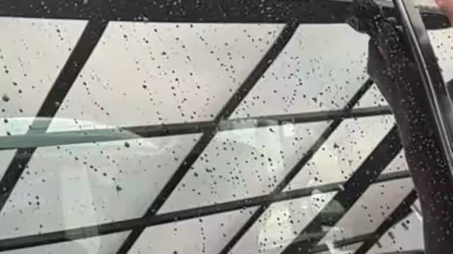 画像12