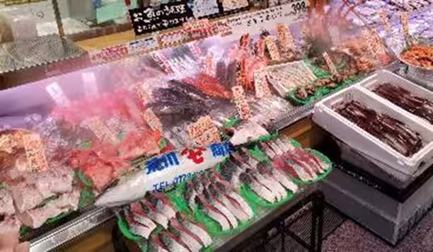 画像13