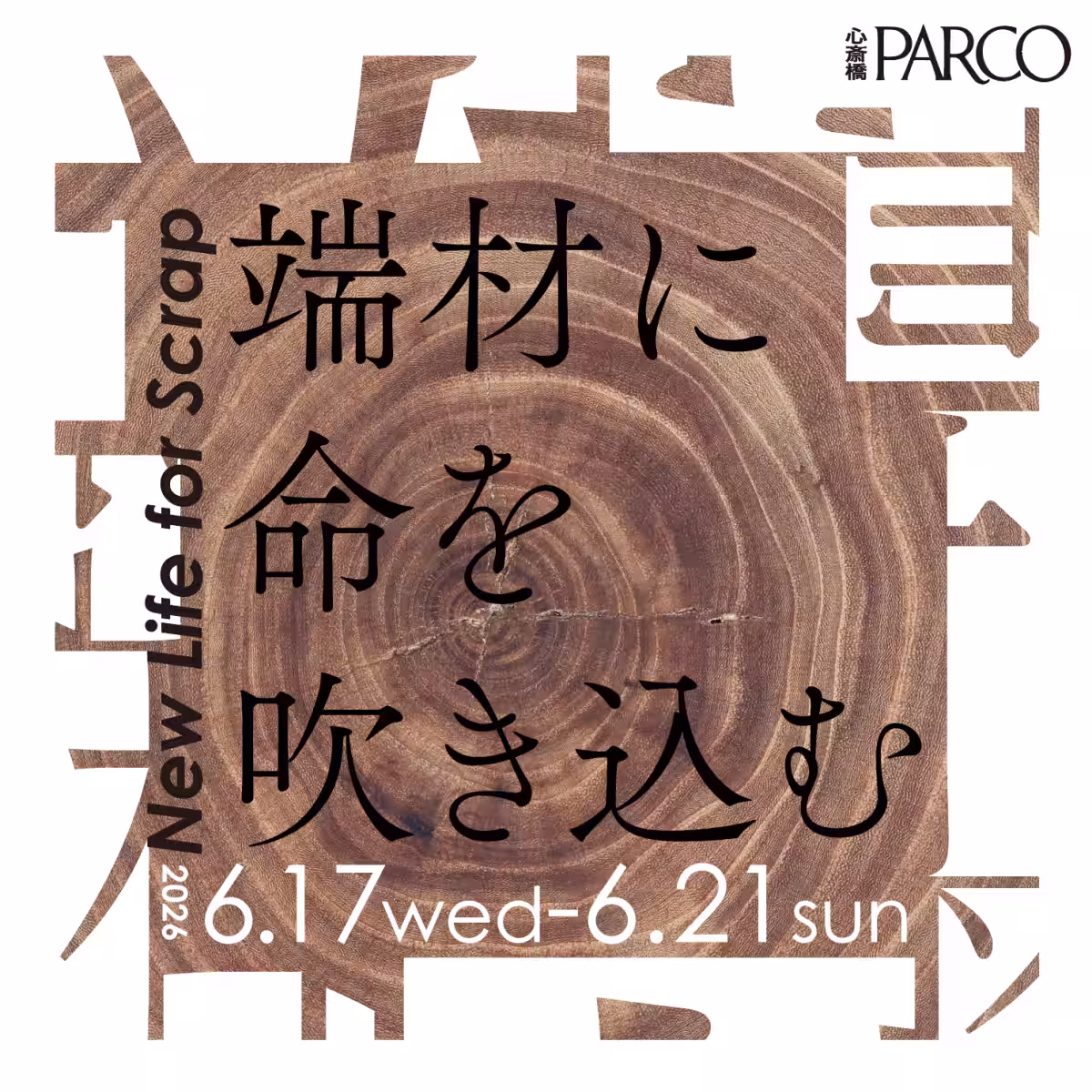 画像20