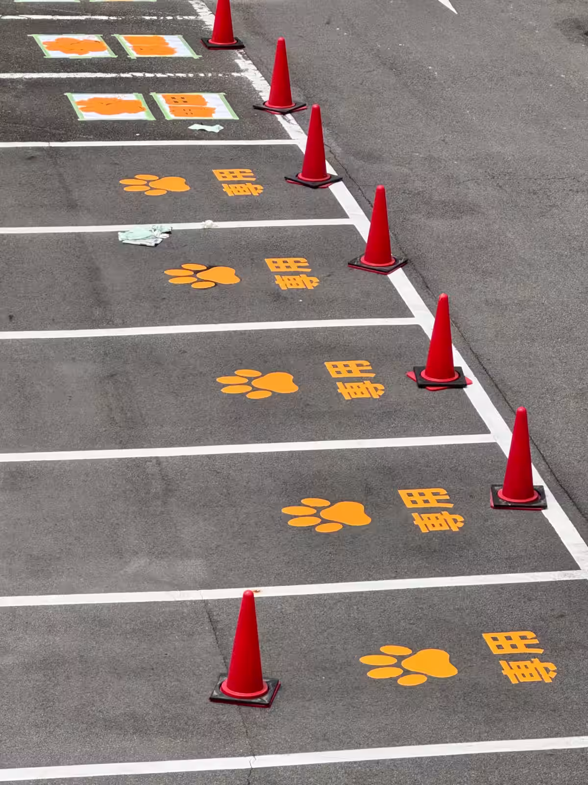 画像10